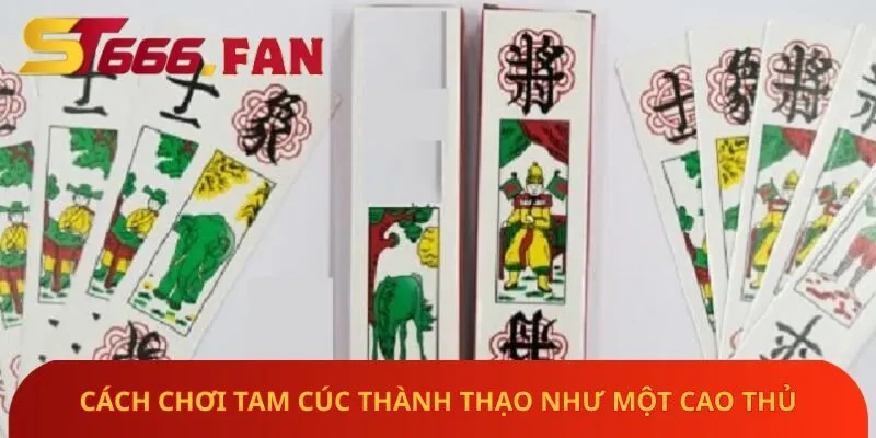 cach-choi-tam-cuc-thanh-thao-nhu-mot-cao-thu